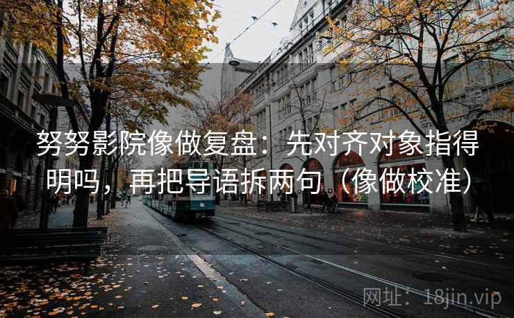 努努影院像做复盘:先对齐对象指得明吗,再把导语拆两句(像做校准)