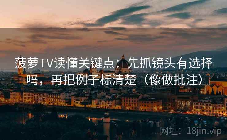 菠萝TV读懂关键点:先抓镜头有选择吗,再把例子标清楚(像做批注) 第2张 菠萝TV读懂关键点:先抓镜头有选择吗,再把例子标清楚(像做批注) 第2张